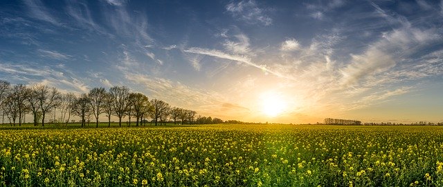 Kompleksowe rozwiązania dla rolnictwa xxi wieku